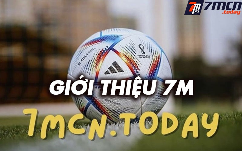 Giới thiệu thereverse.io